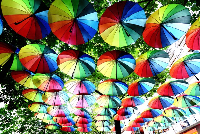 firmreise20190601 046n